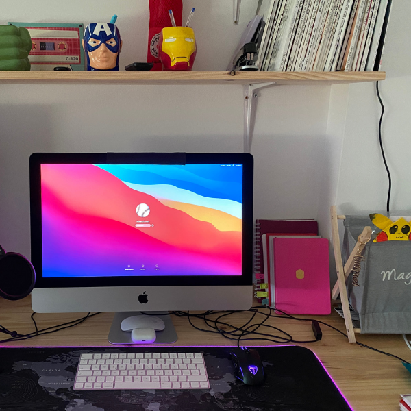 Rosario Freire - Historia